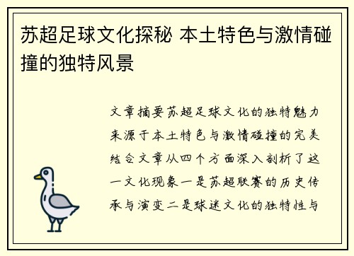 苏超足球文化探秘 本土特色与激情碰撞的独特风景